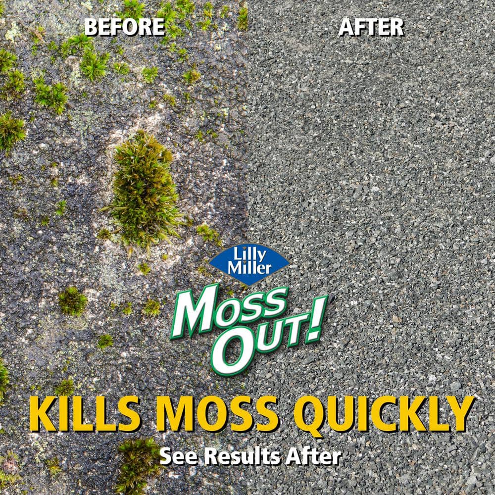 54 oz. 1,000 sq. ft. Roof and Walkway Moss Killer Concentrate - Hercitys