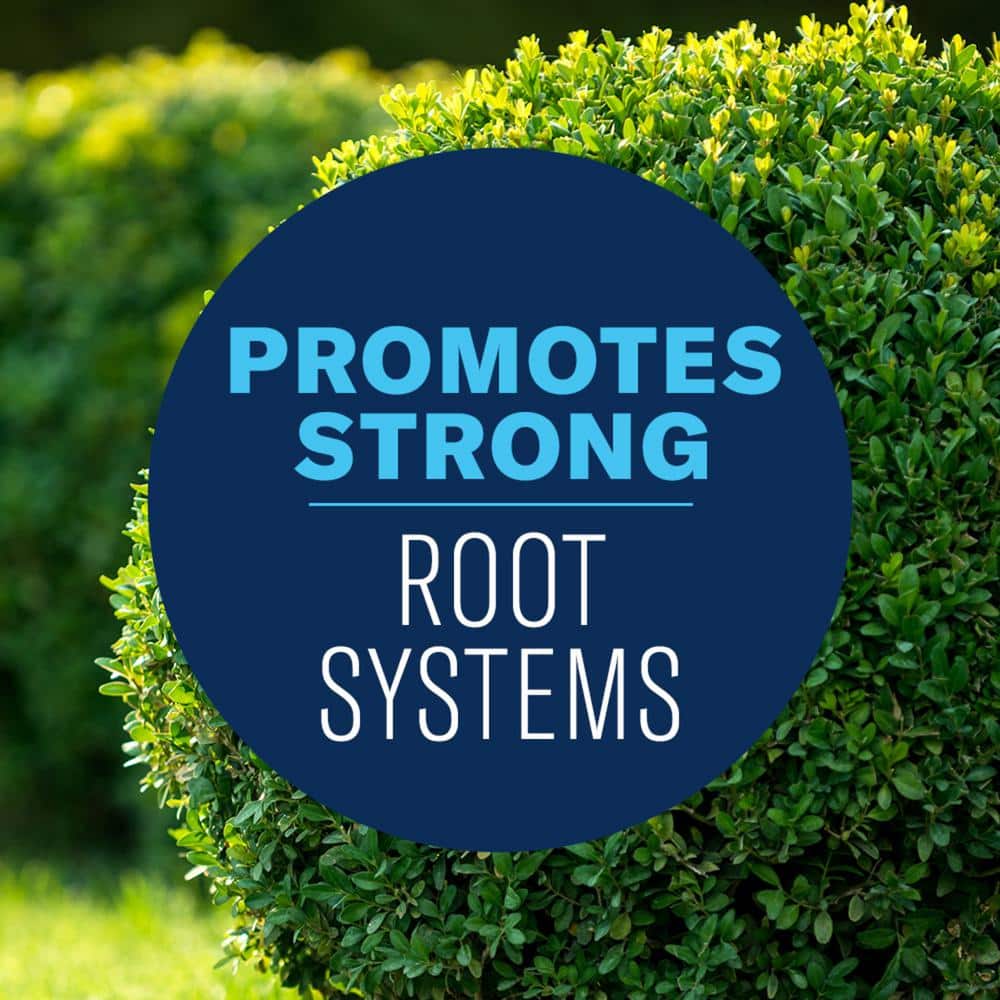 4 lbs. Granules Shrub Care Protect and Feed - Hercitys