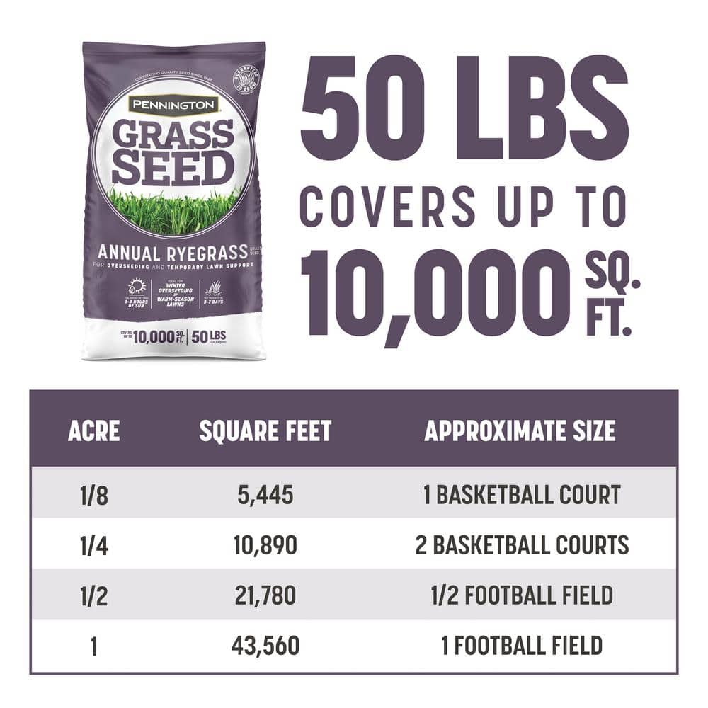 50 lbs. Annual Ryegrass Grass Seed (2-Pack) - Hercitys