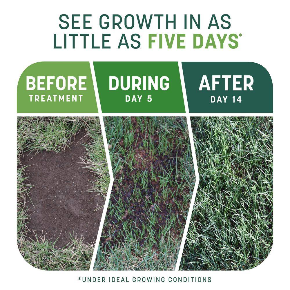 5 lbs. Smart Patch Sun and Shade West Grass Seed with Mulch Fertilizer - Hercitys