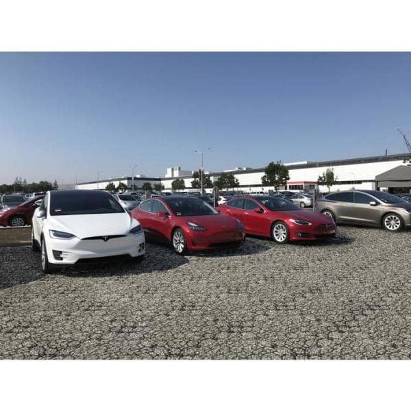 22 in. x 22 in. x 1.5 in. Premium Grid Plastic (12 Pavers/40.50 sq. ft.) - Hercitys