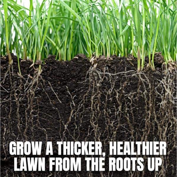 32 oz. Fix and Feed Universal Lawn Food, Ready-to-Spray - Hercitys