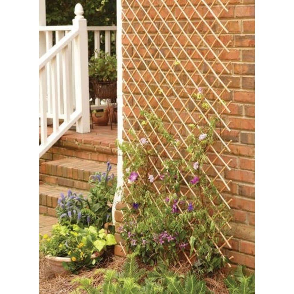 36 in. H x 72 in. L Peeled Willow Expandable Lattice Fence - Hercitys