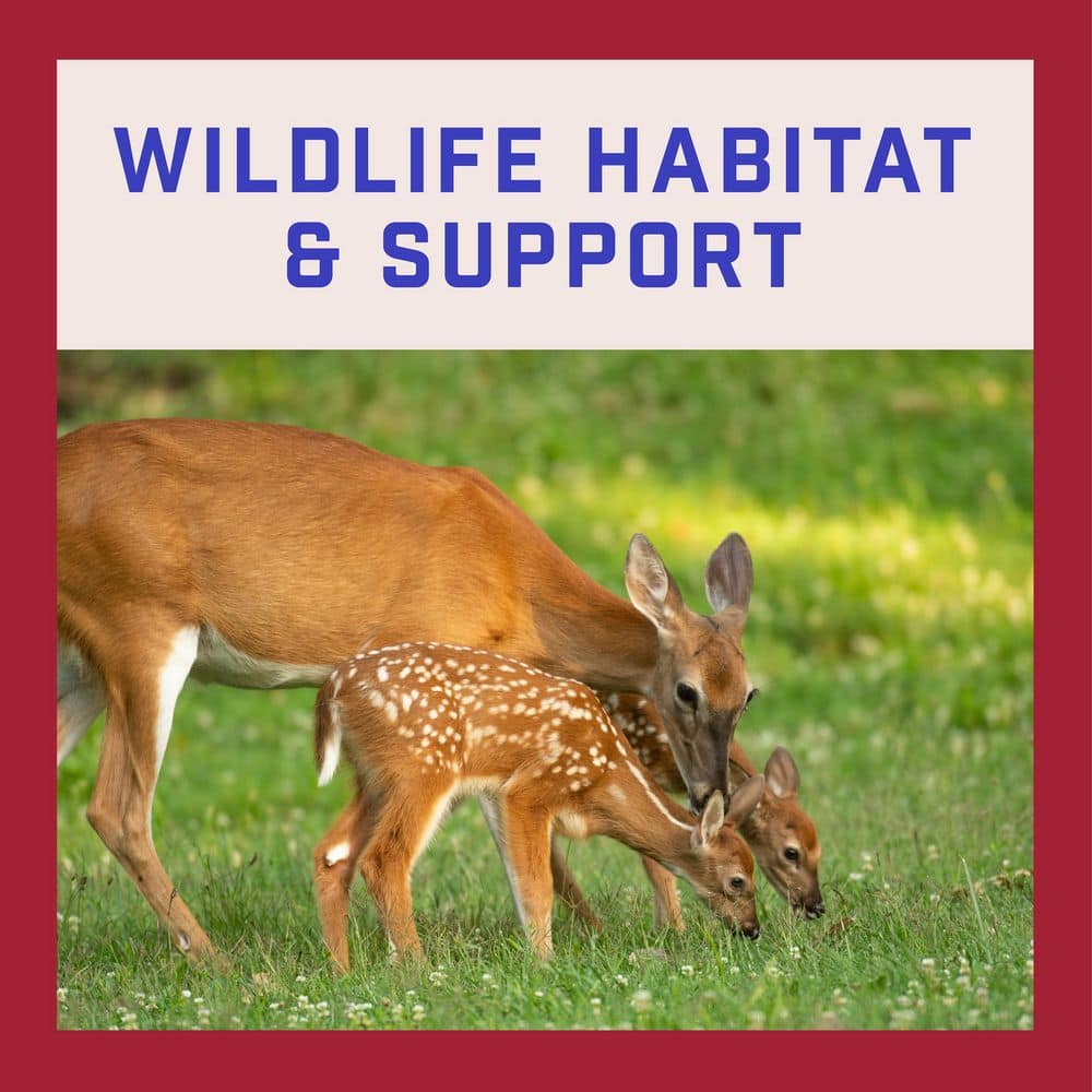 3 lbs. 10,000 sq. ft. Backyard Habitat Seed - Hercitys