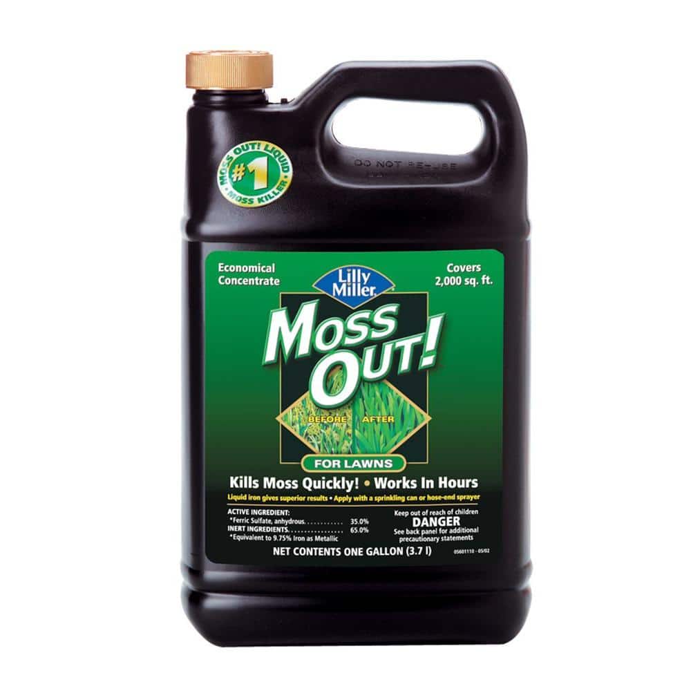 1 gal. 2,000 sq. ft. Lawn Moss Killer Concentrate - Hercitys