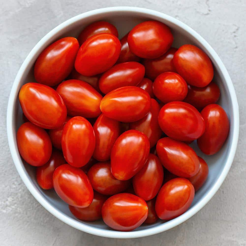 19 oz. Tami G Grape Tomato Plant (2-Pack) - Hercitys