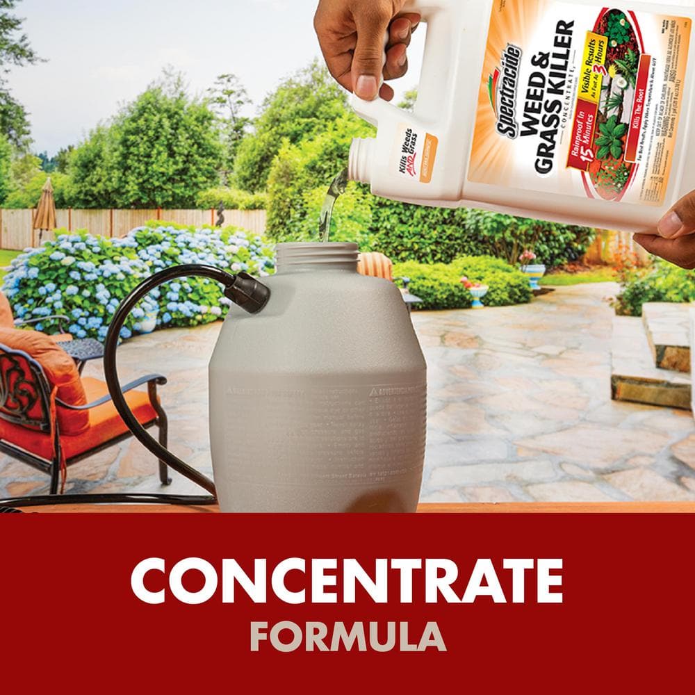1 Gal. Concentrate Weed and Grass Killer - Hercitys