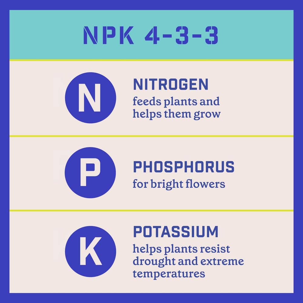 4 lbs. Rejuvenate Evergreen and Azalea Plant Food 4-3-3 - Hercitys