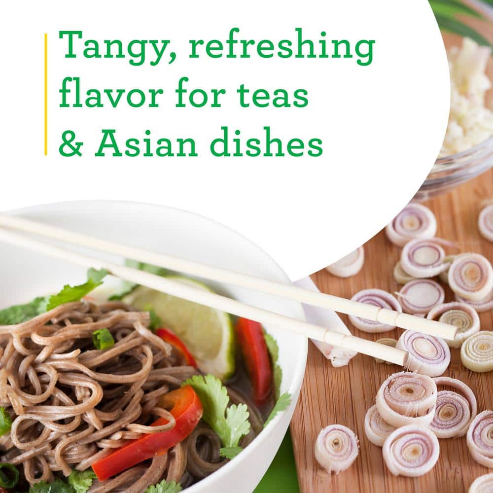 2.32 Qt. Lemongrass, Live Plant - Hercitys