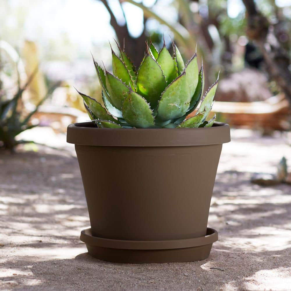 16 x 14.25 Chocolate Terra Plastic Planter - Hercitys