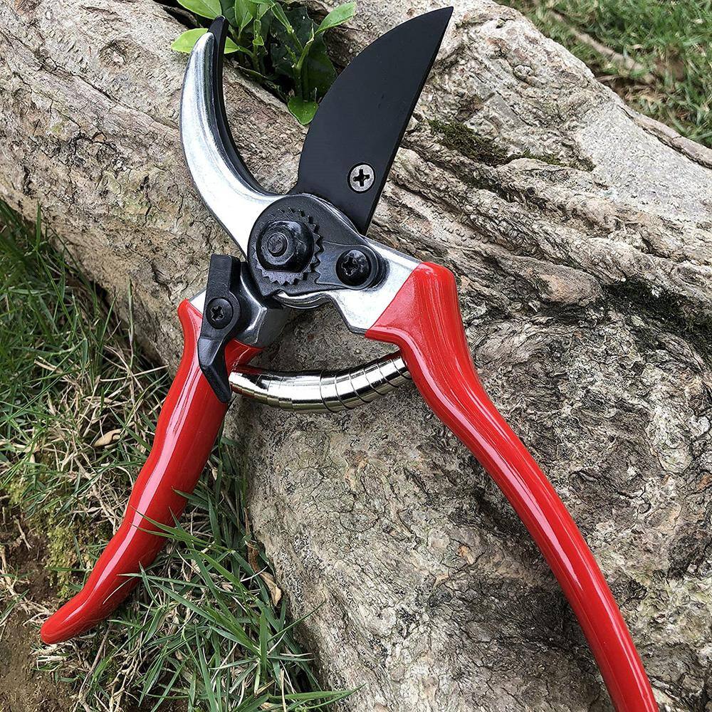 3/4 in. Cutting Capacity, High Carbon Steel Professional Pruning Shears - Hercitys