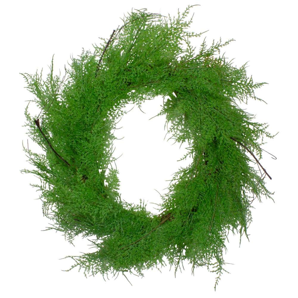 24 in. Brown and Green Unlit Cedar Artificial Christmas Wreath - Hercitys