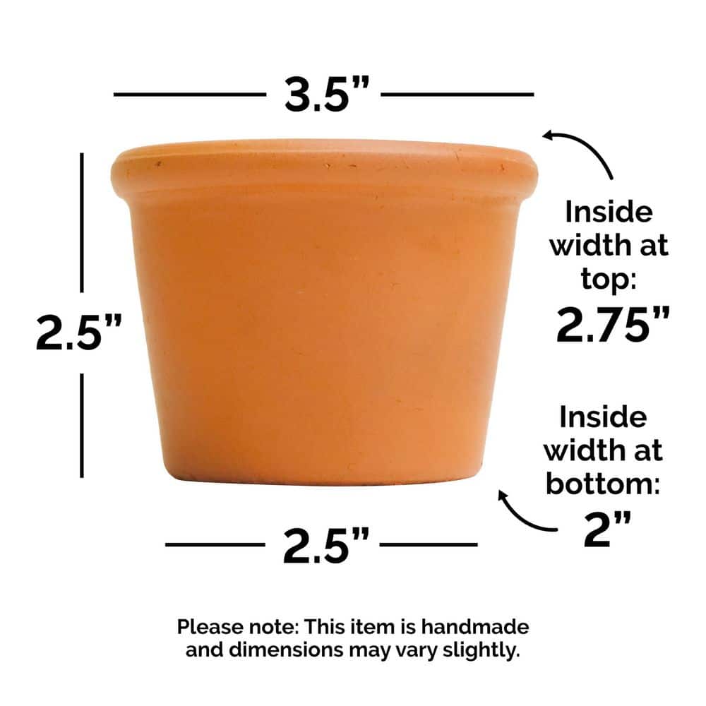 3 in. x 2 in. Small Terra Cotta Clay Cylinder Pot (32-Pack) - Hercitys