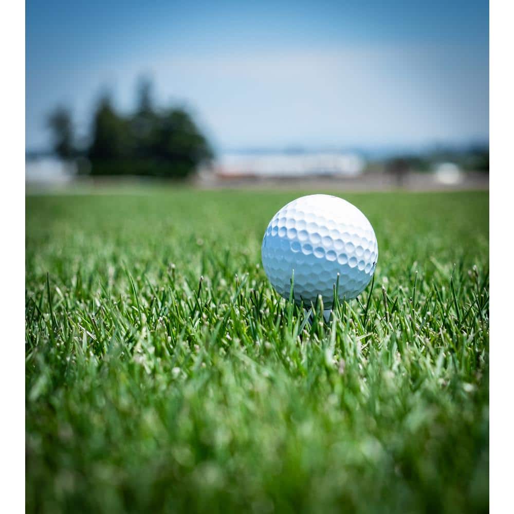 3 lbs. Sun and Shade Grass Seed - Hercitys