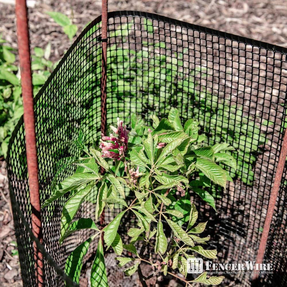 3 ft. x 15 ft. x 1/2 in. Black Plastic Hardware Netting - Hercitys