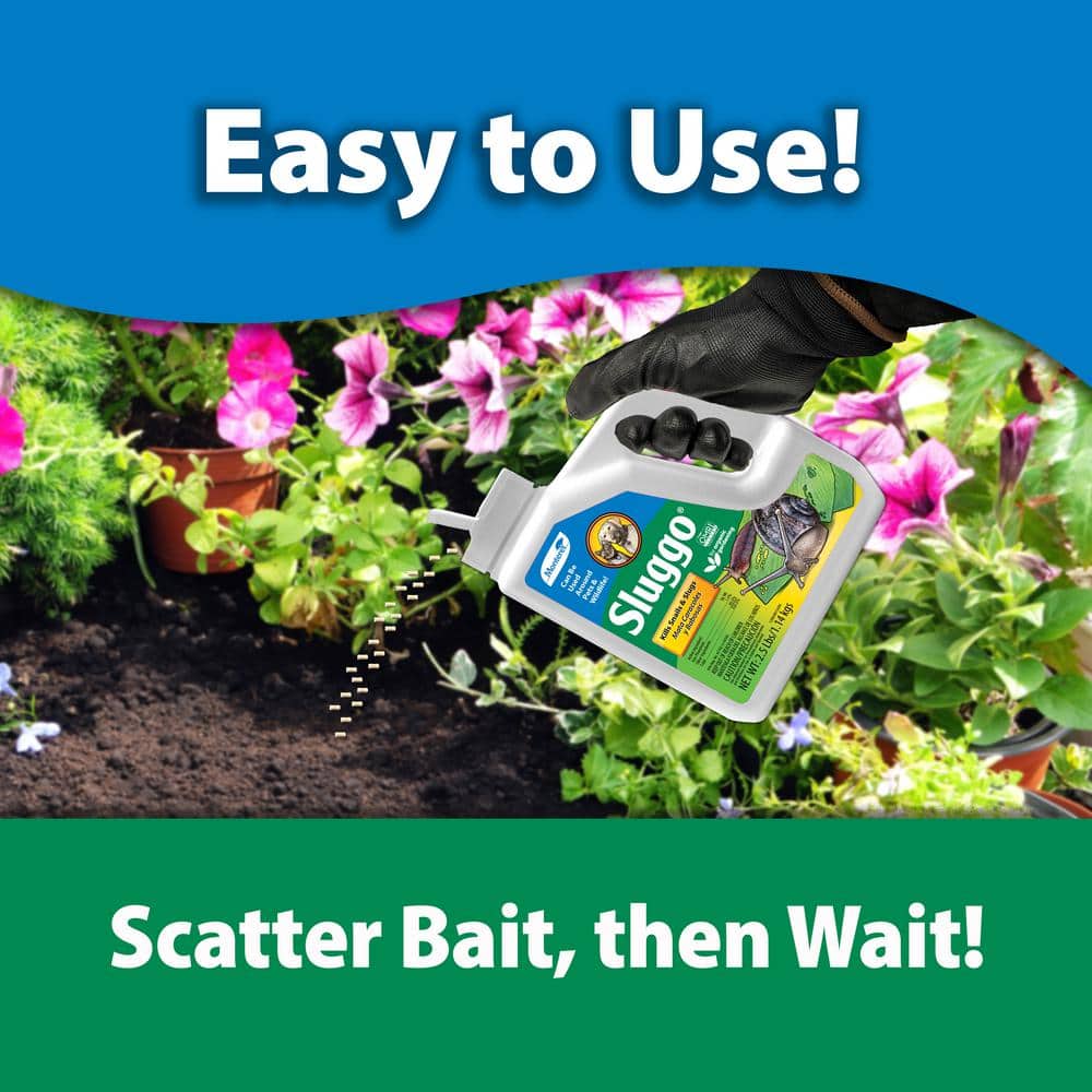 2.5 lbs. Sluggo - Hercitys