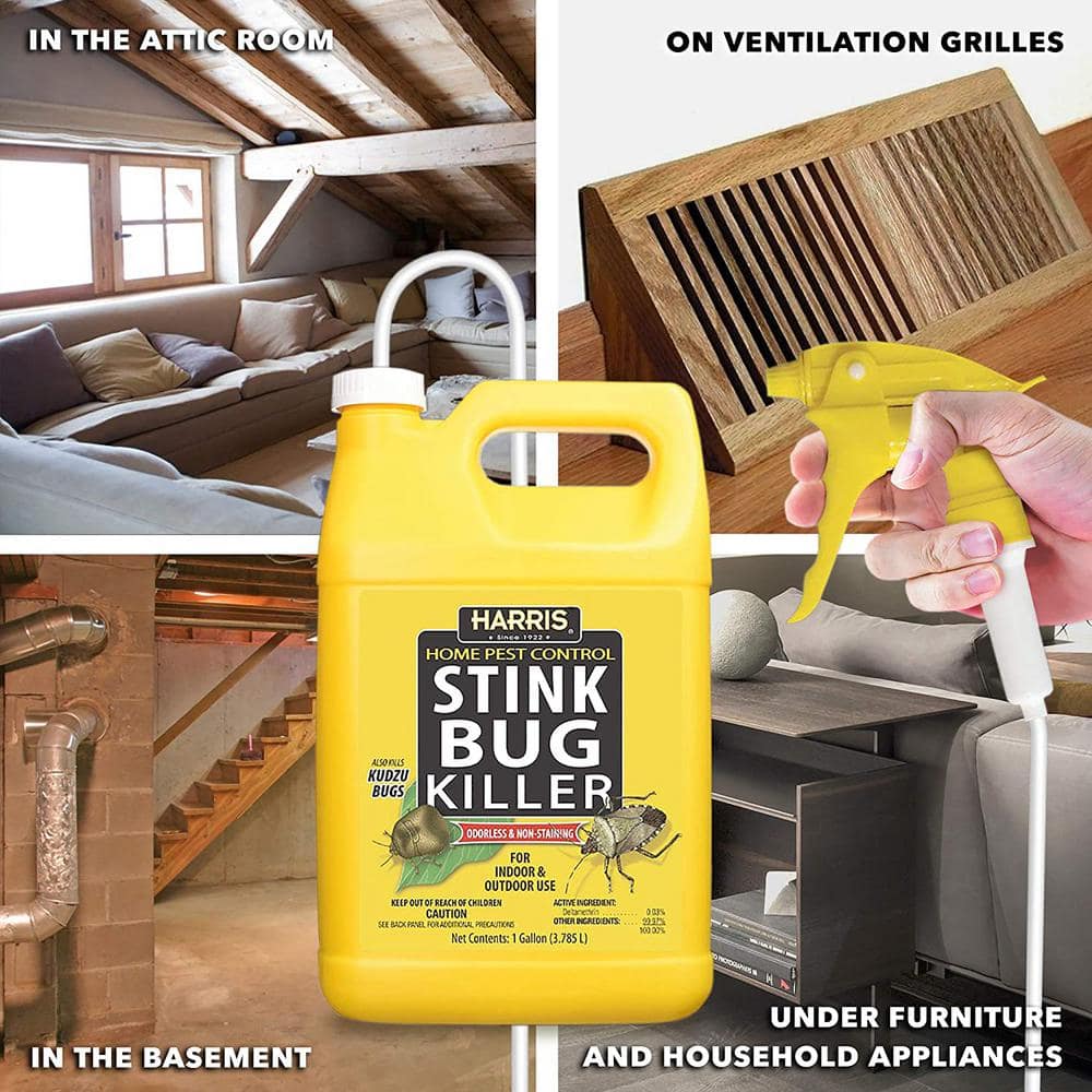 1 Gal. Stink Bug Killer (2-Pack) - Hercitys