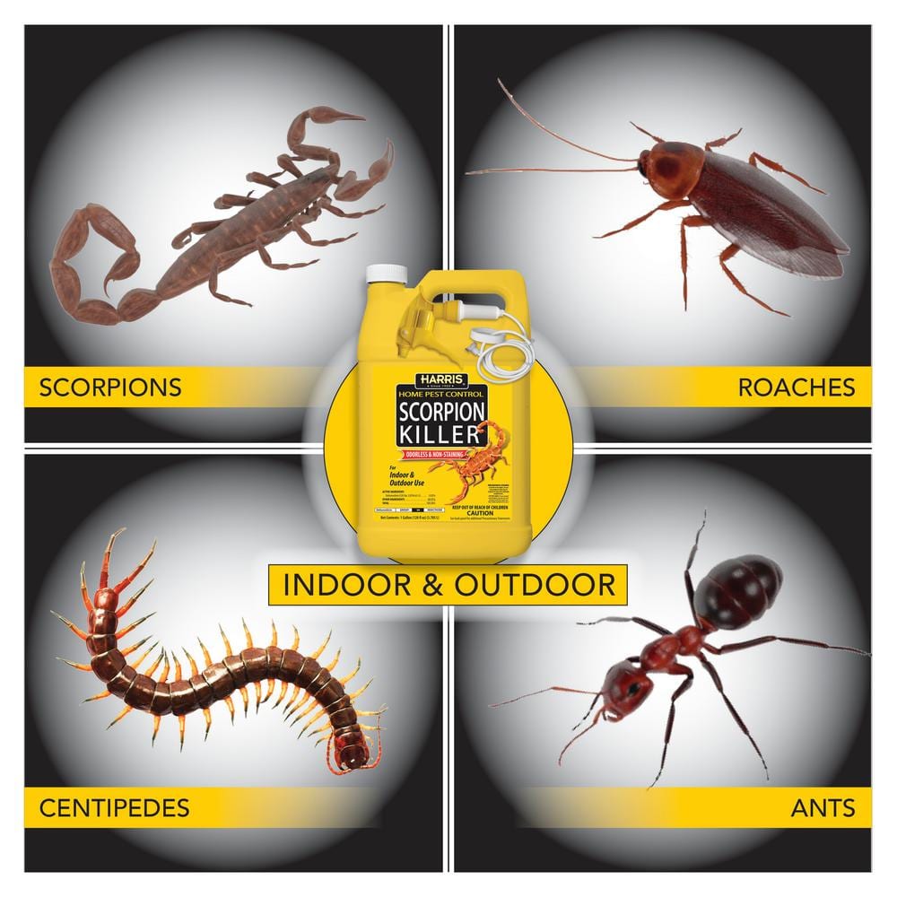 1 Gal. Scorpion Killer (2-Pack) - Hercitys
