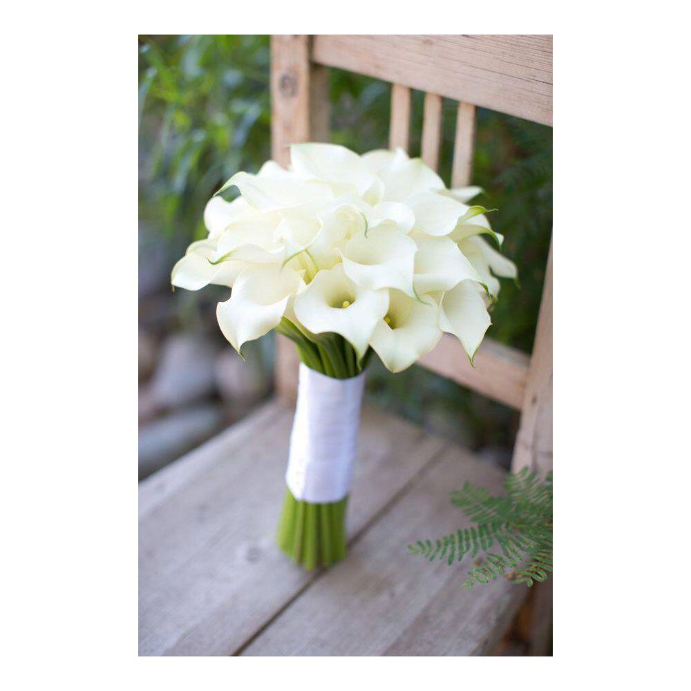 2.5 Qt. Perennial Calla Lily White (2-Pack) - Hercitys