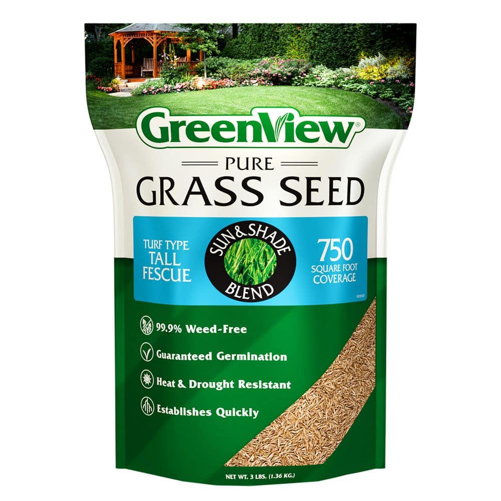 3 lbs. Pure Grass Turf Type Tall Fescue Sun and Shade Blend – Covers up to 750 sq. ft. - Hercitys