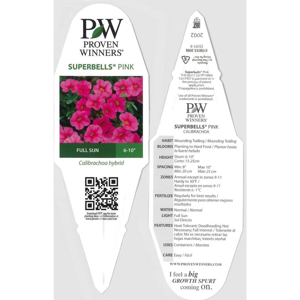 4.25 in. Eco+Grande, Superbells Pink (Calibrachoa) Live Plant, Pink Flowers (4-Pack) - Hercitys