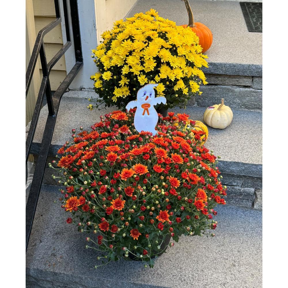 15 in. Iron Halloween Ghost Figure Pick Yard Stake, Set of 3 - Hercitys