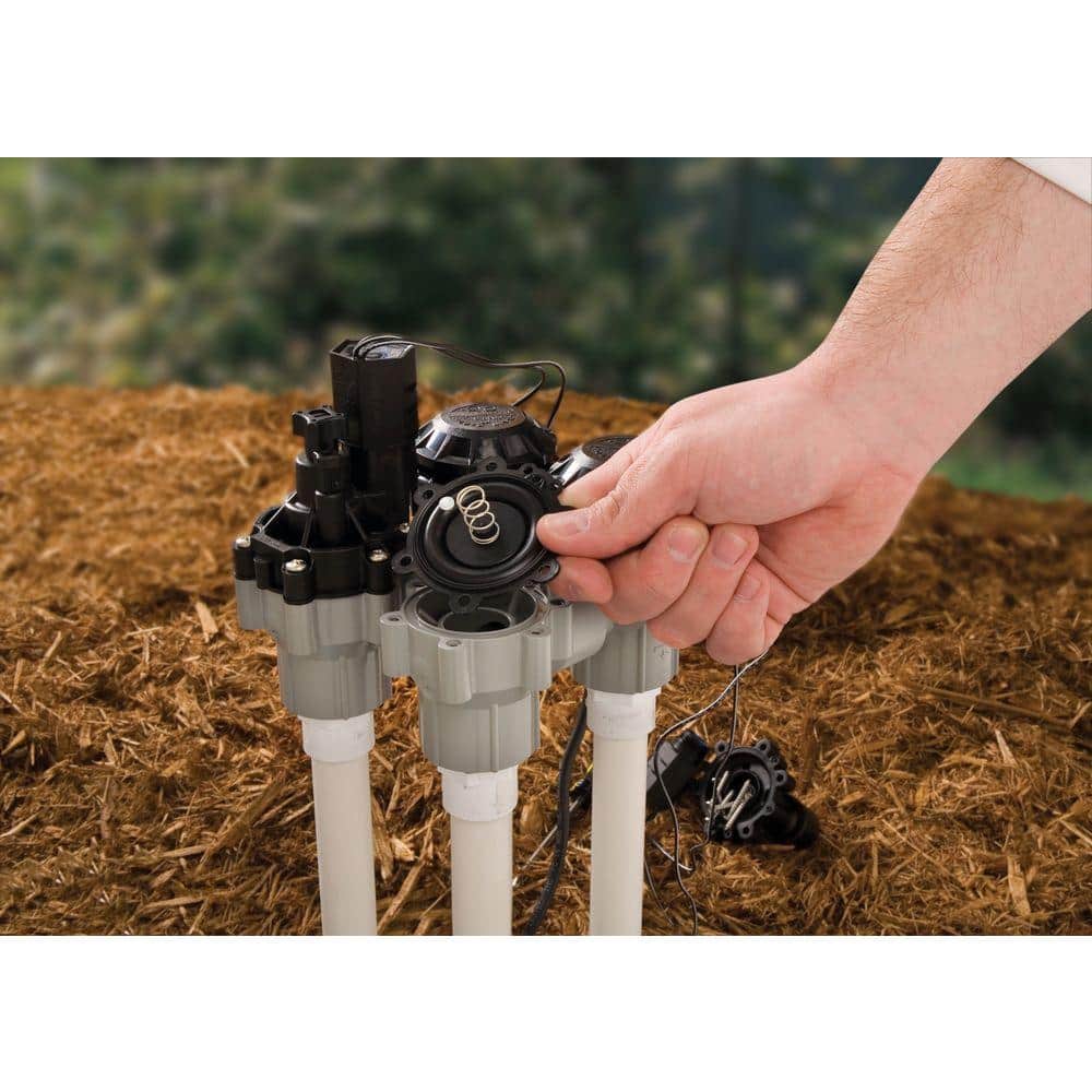 1 in. FPT Professional Grade Anti-Siphon Irrigation Valve with Flow Control - Hercitys