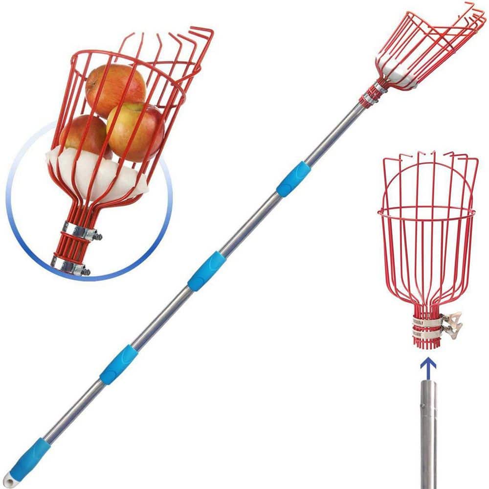 10 in. Tree Pruner Fruit Picker with Basket and Pole - Hercitys