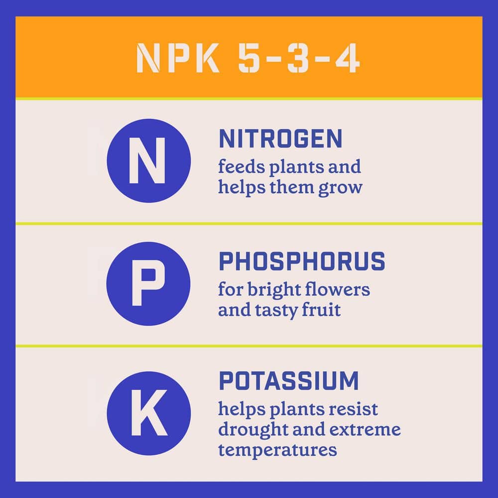 4 lbs. Rejuvenate Citrus and Avocado Plant Food 5-3-4 - Hercitys