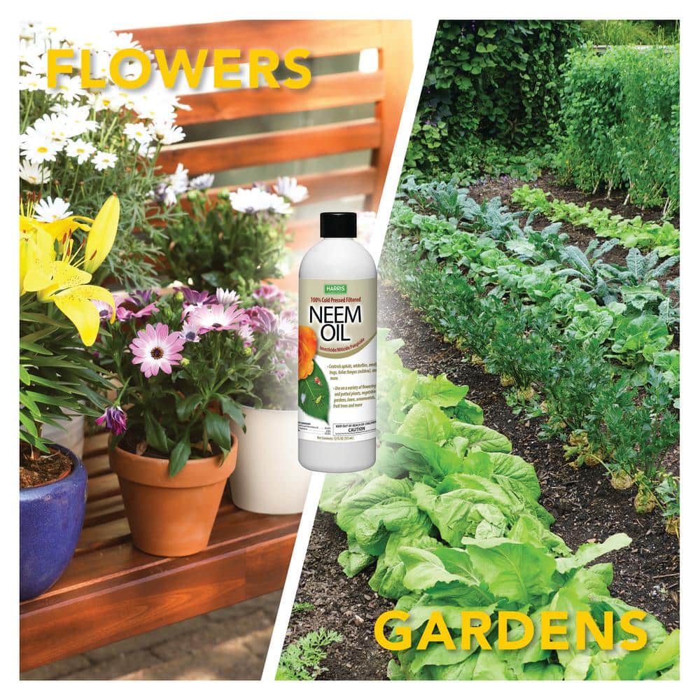 12 oz. 100% Cold Pressed Unrefined Cosmetic Grade Neem Oil (2-Pack) - Hercitys