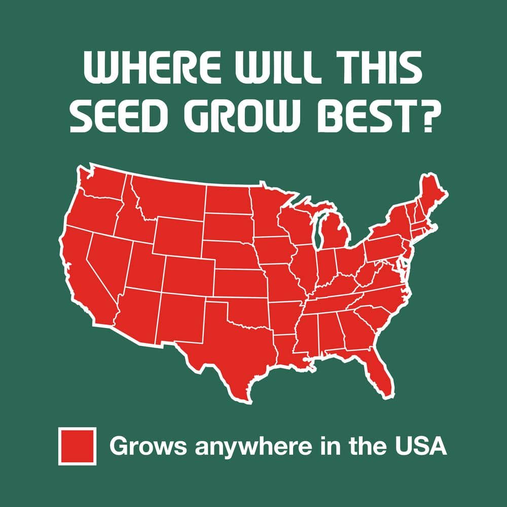 3 lbs. Shady Lawn Grass Seed Mix - Hercitys