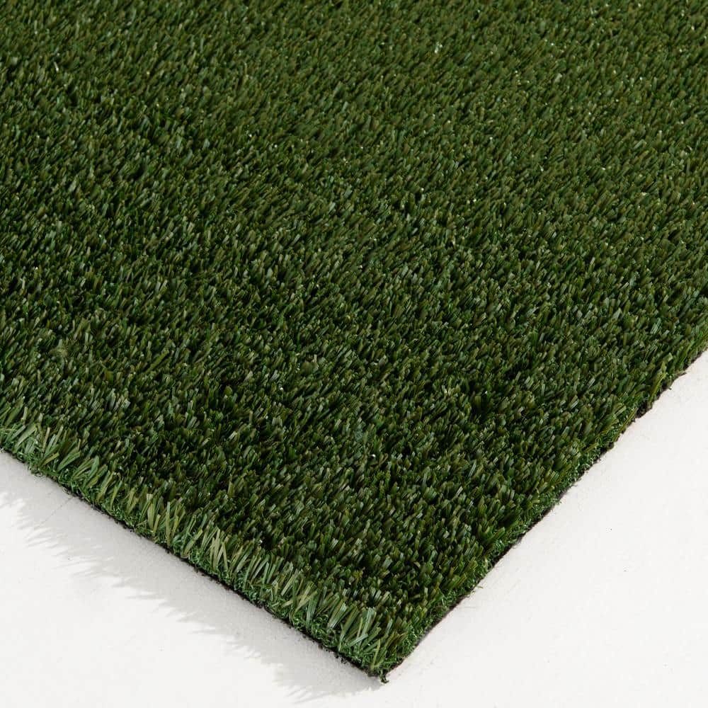 48 oz. Pet Turf 15 ft. Wide x Cut to Length Field Green Artificial Grass - Hercitys