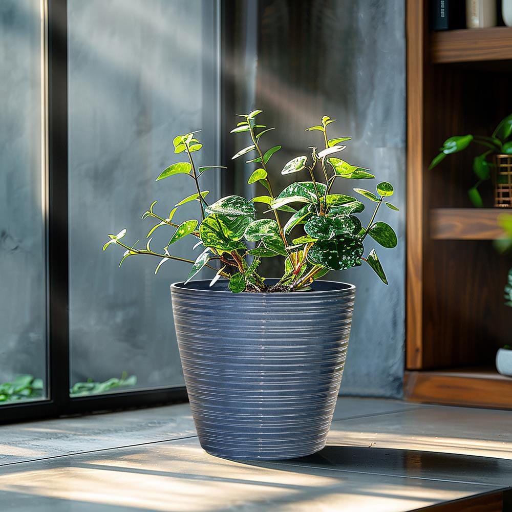 11.02 in. W x 10.04 in. H Marine Blue Tapered Round Tropical Plastic Planters Set (2-Piece) - Hercitys