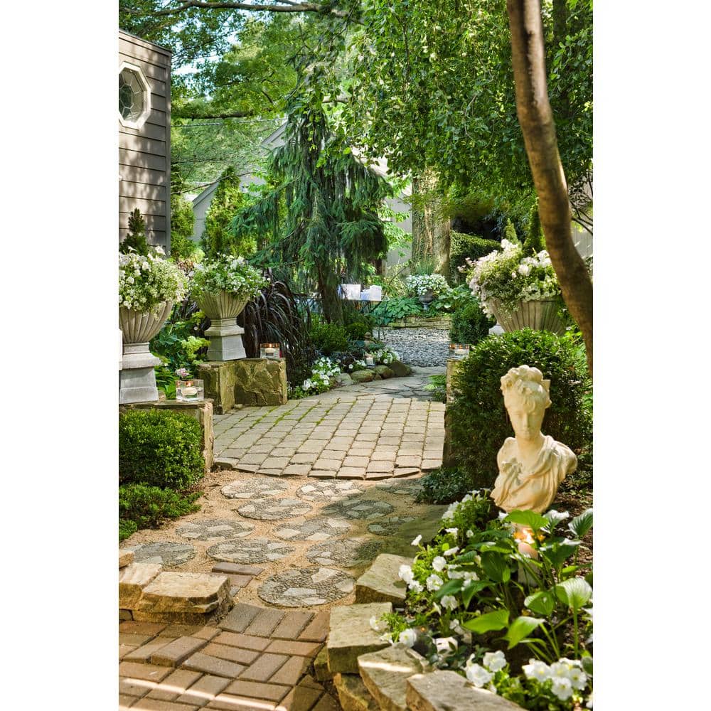 4.25 in. Eco+Grande, Superbells White (Calibrachoa) Live Plants, White Flowers (4-Pack) - Hercitys