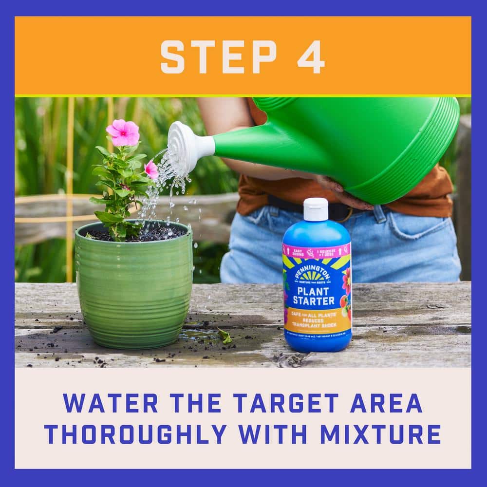 32 oz. Liquid Plant Starter with Easy Dose (2-Pack) - Hercitys