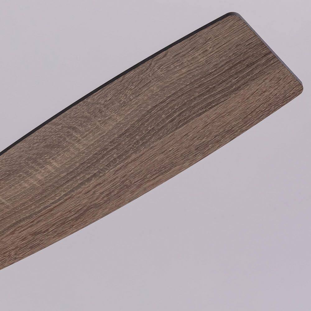 52 in. Indoor Matte Black Net Caged Ceiling Fan with Light Kit, Reversible Blades and Remote Included - Hercitys