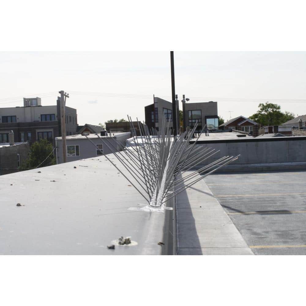 50 ft. Stainless Steel Bird Spikes Pigeons Starling Blackbirds Seagulls 6 in. Coverage - Hercitys
