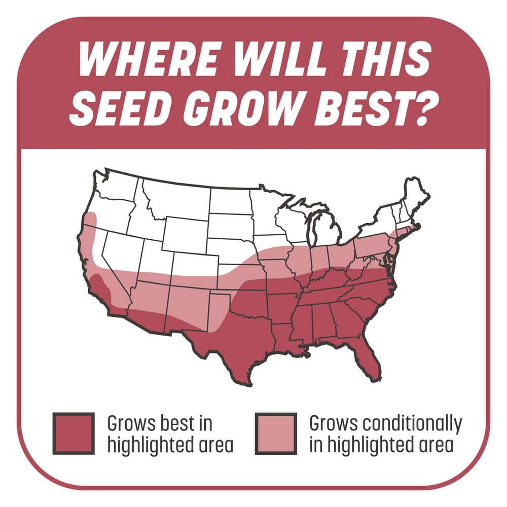 5 lbs. Smart Patch Zoysia Grass Seed with Mulch, Fertilizer - Hercitys