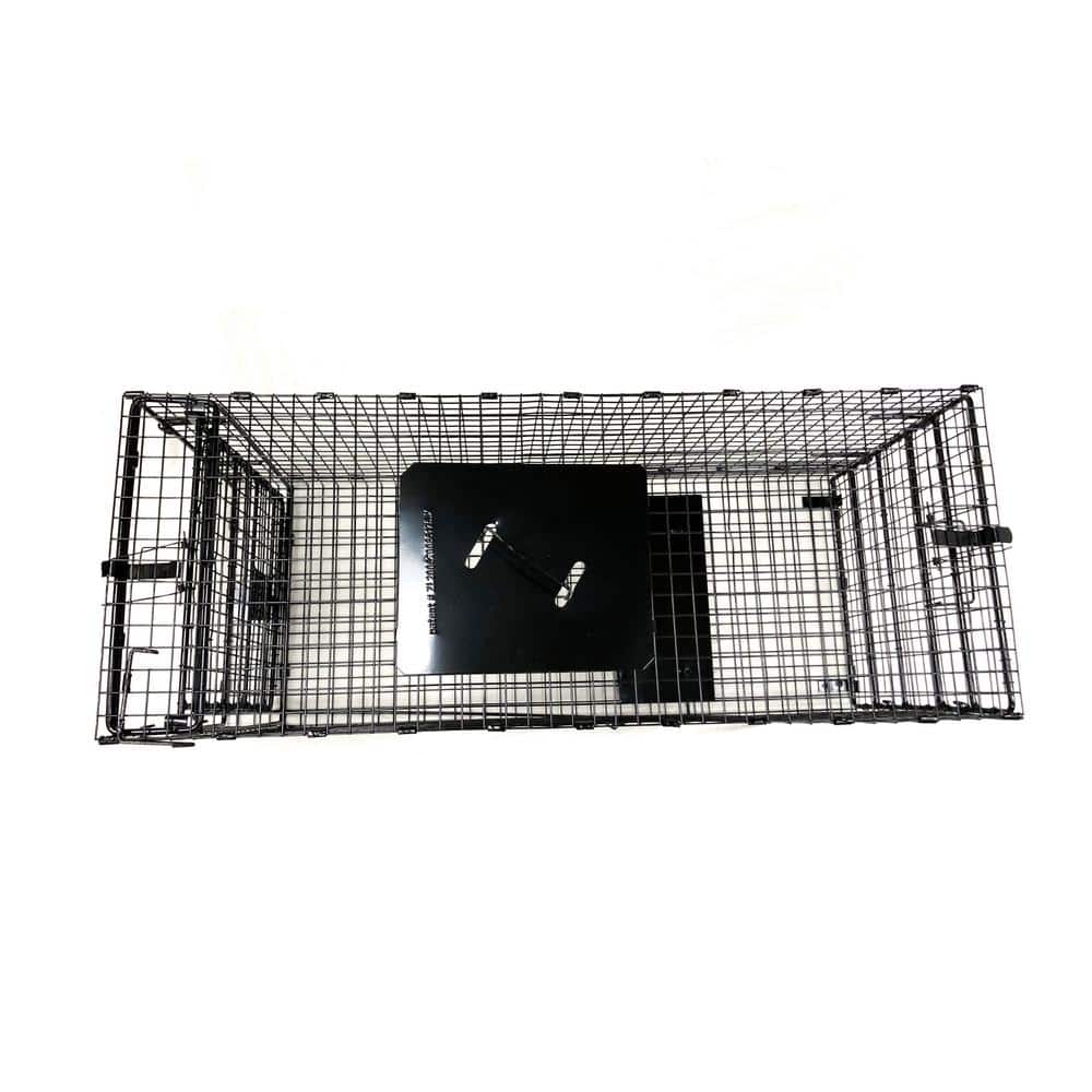 42 in. Collapsible Large Live Animal Cage Trap - Hercitys