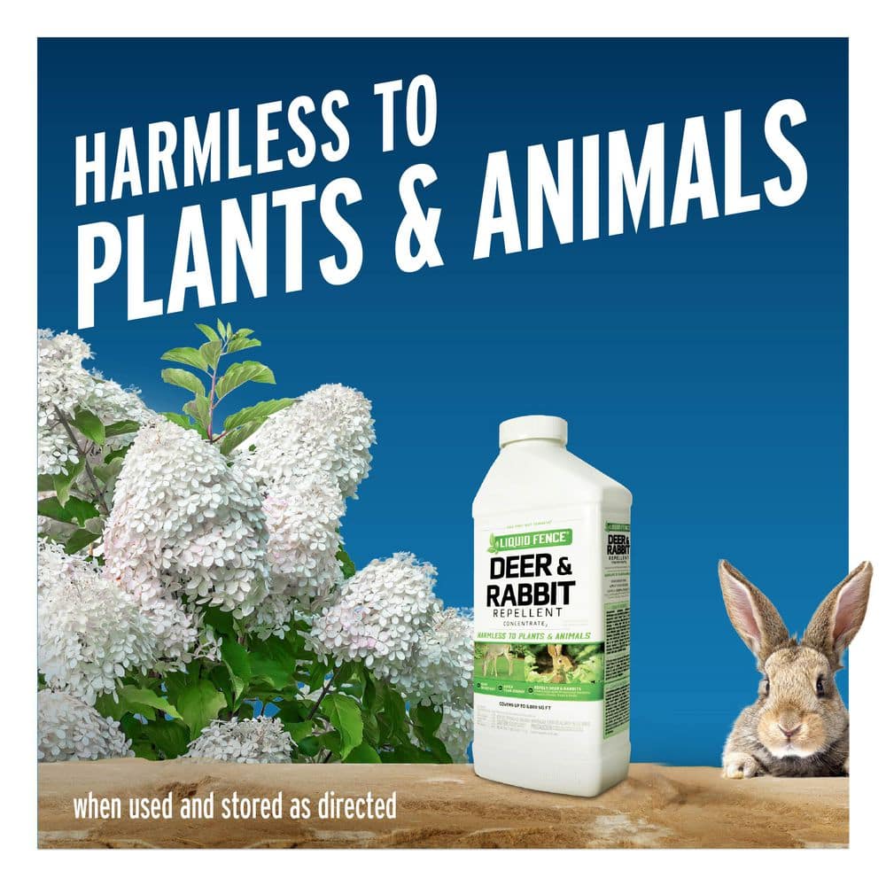 40 Oz. Deer And Rabbit Repellent Concentrate - Hercitys