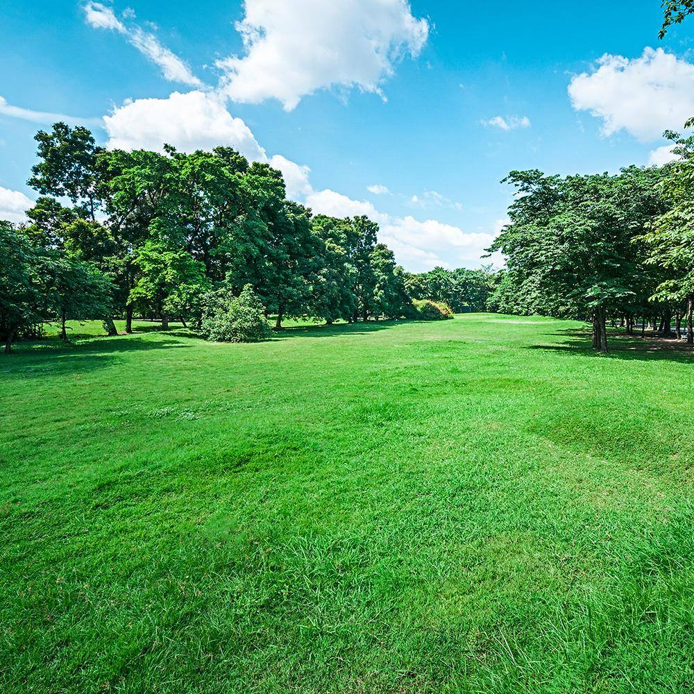 30 lbs. Turf Alive! Grass Seed with Rhizomes - Hercitys