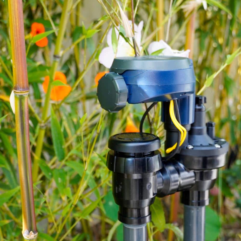 3/4 in. Digital Timer with Anti-Siphon Valve - Hercitys