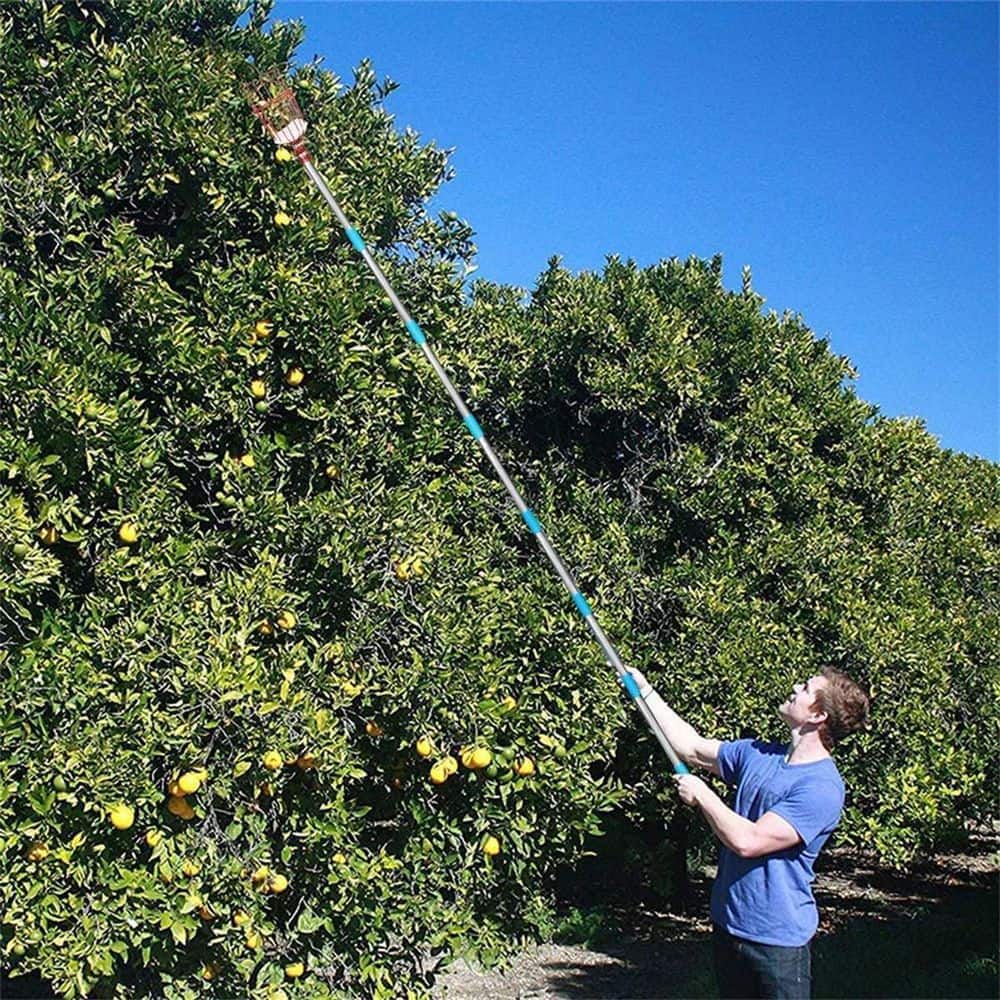 5 in. Tree Pruner Fruit Picker with Basket and Pole - Hercitys