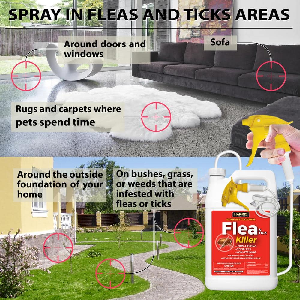 1 Gal. Flea and Tick Killer - Hercitys