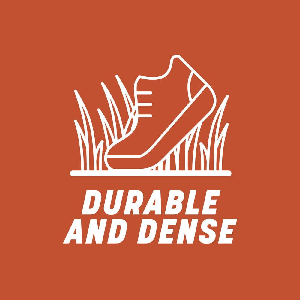 15 lbs. Bermudagrass Grass Seed - Hercitys