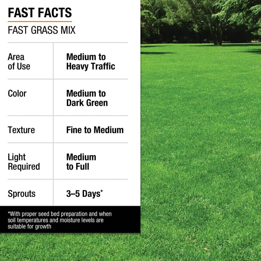 3 lbs. Fast Grass Seed Mix with Water Saver Seed Coating - Hercitys