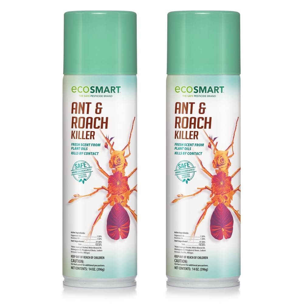 14 oz. Natural Ant and Roach Killer with Plant-Based Rosemary Oil and Peppermint Oil, Aerosol Spray Can (2-Pack) - Hercitys