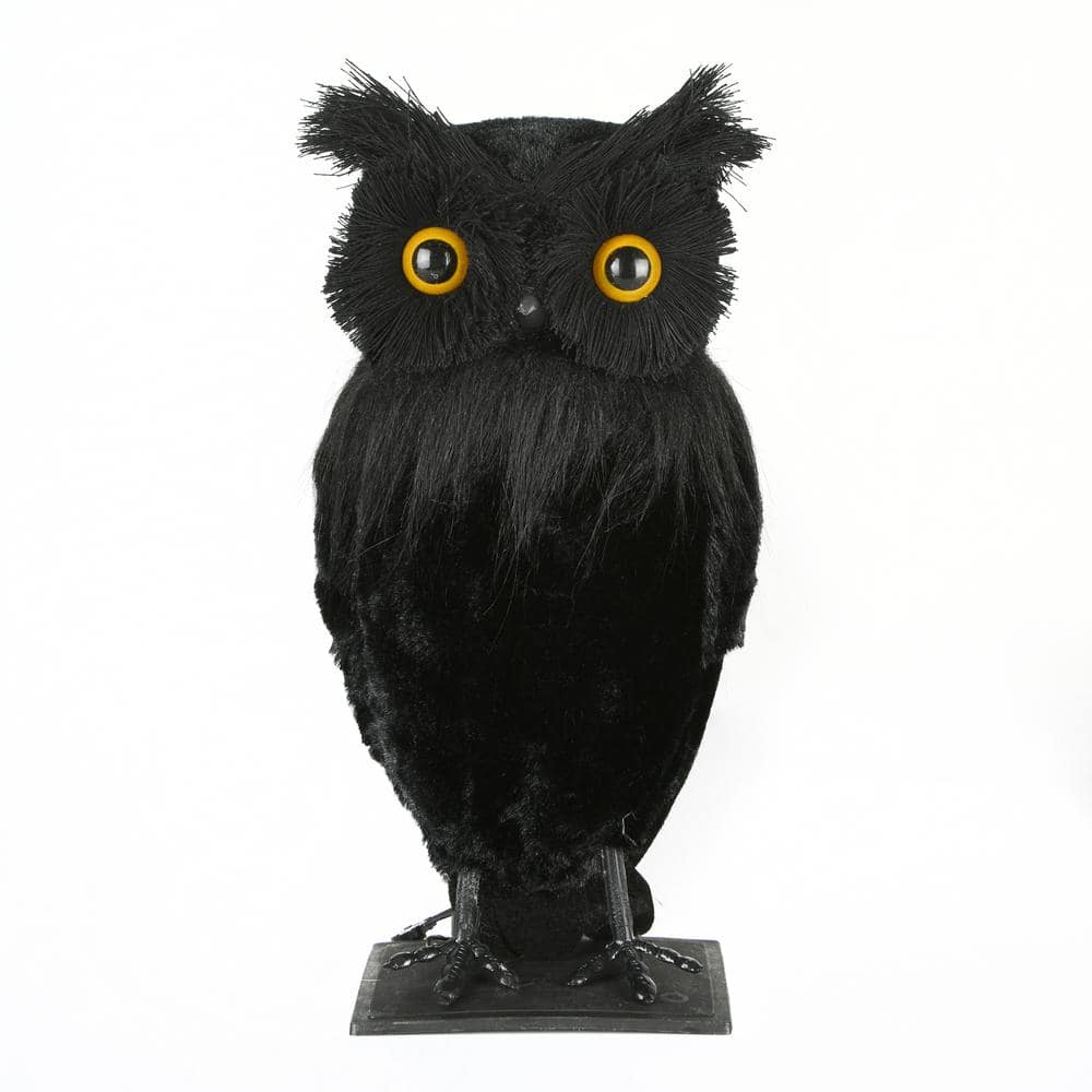 11 in. Eerie Eyes Owl - Hercitys