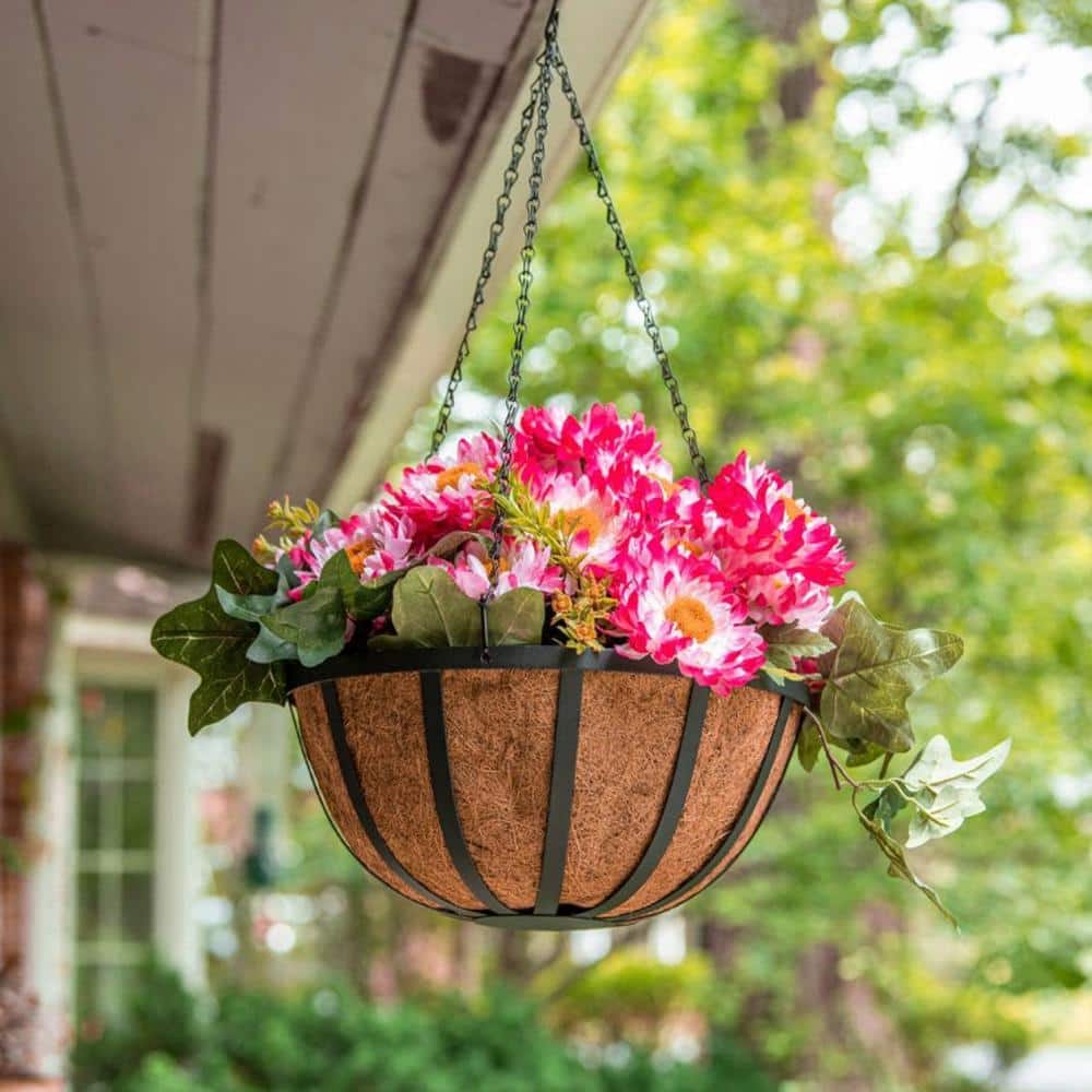 14 in. Dia English Black Metal Hanging Basket with Coco Liner - Hercitys