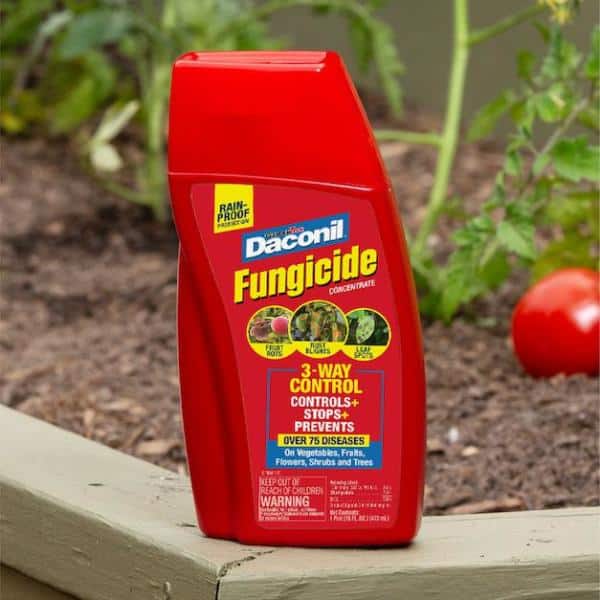 16 oz. Concentrate Fungicide - Hercitys